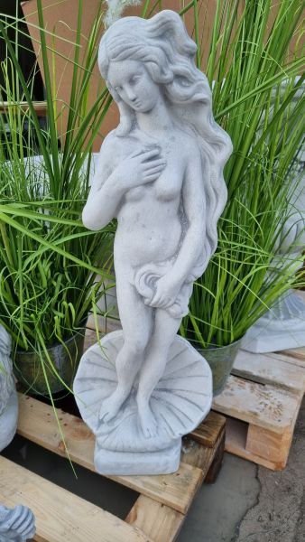 Gartenfigur "Die Geburt der Venus", medium, antik grau