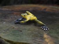 Bronzefigur gelber Frosch klein