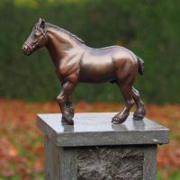 Bronzefigur kleines belgisches Pferd