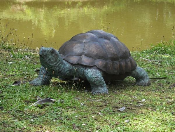Bronzefigur Schildkröte
