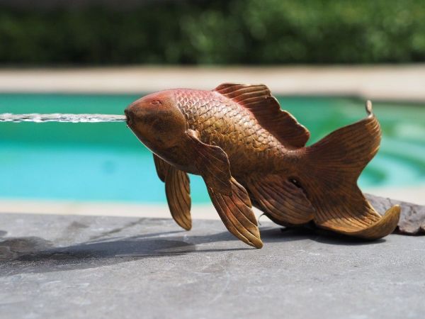 Bronzefigur Fisch als Wasserspeier