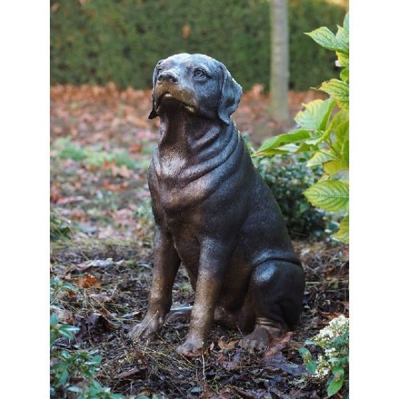 Bronzefigur Rottweiler