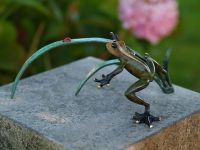 Bronzefigur Frosch mit Marienkäfer